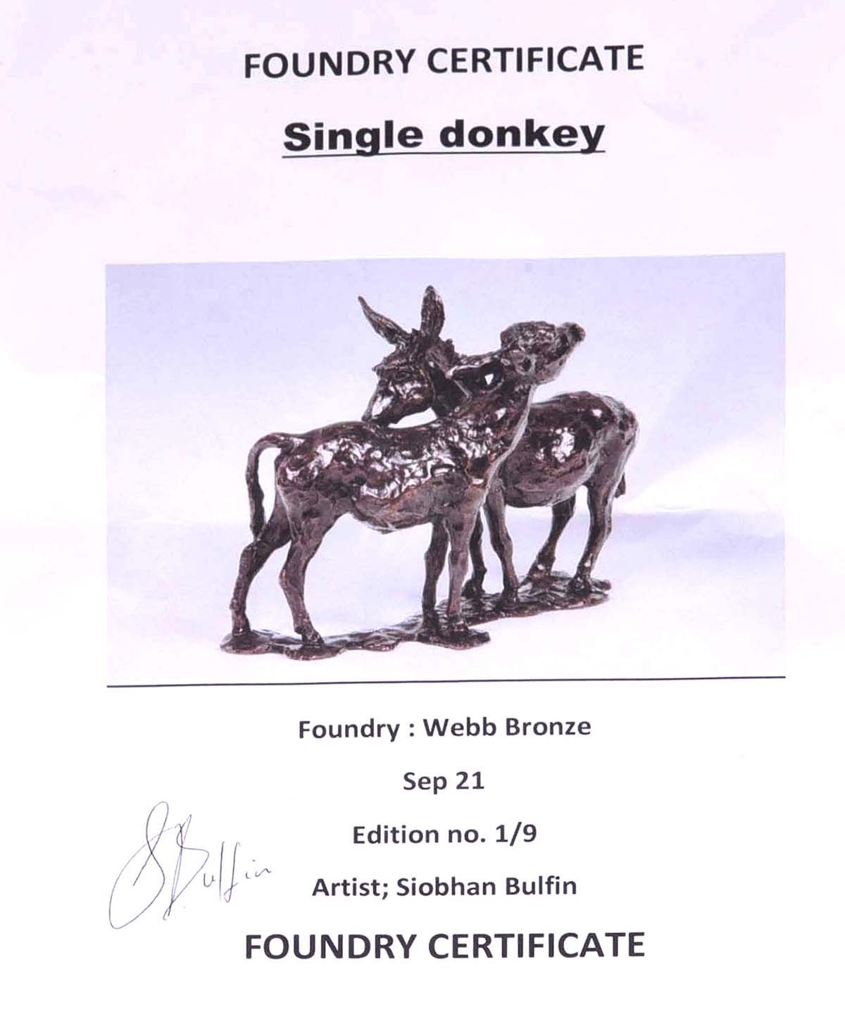 Artwork by Siobhan Bulfin, LITTLE DONKEY, Made of CAST BRONZE SCULPTURE