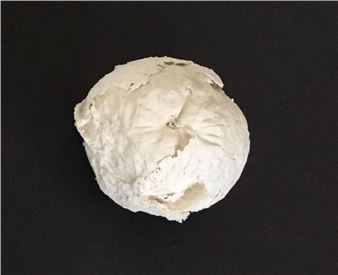 Interior - Pauline Bazignan