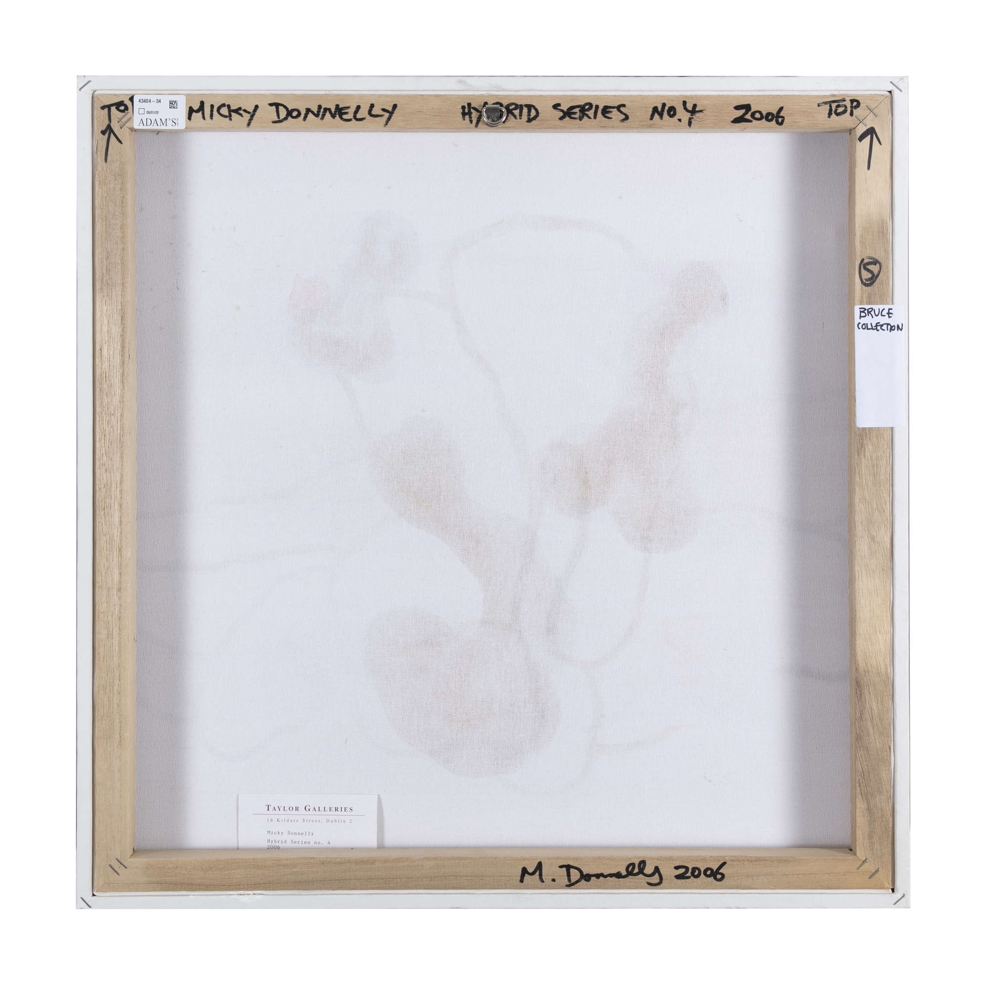 Artwork by Micky Donnelly, Hybrid Series No.4, Made of Oil, acrylic, ink and fabric