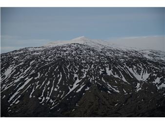 Matt Bohli: Among Giants - Galerie Xippas, Geneva