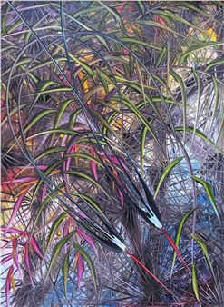 Important Latino American - Jorge Ivan Arango