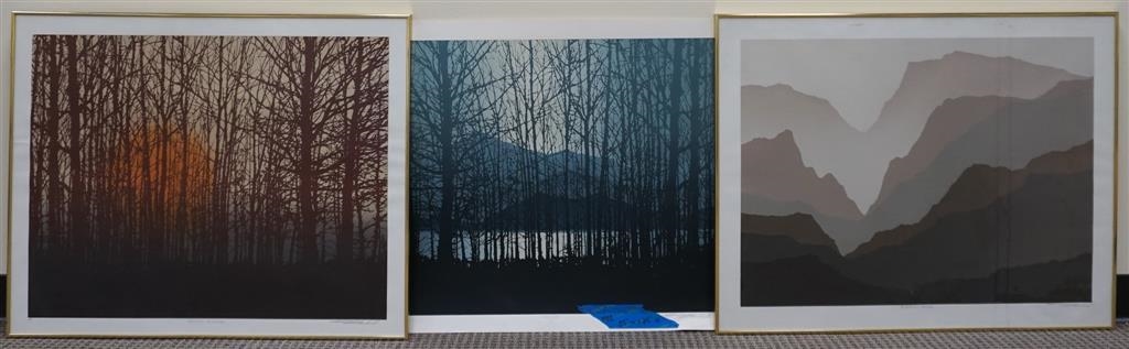 Todd Rowland | Through the Trees | MutualArt
