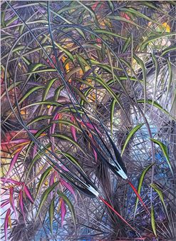 Tijeretos Birds in their environment - Jorge Ivan Arango