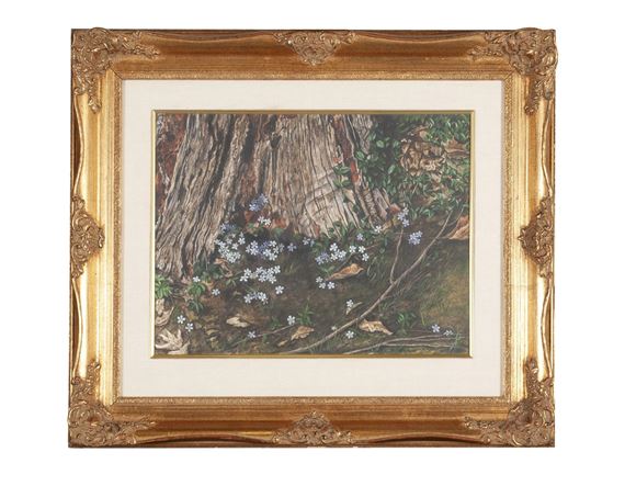 Close format rendering of windflowers growing close at the trunk of a tree - Robert Stolz