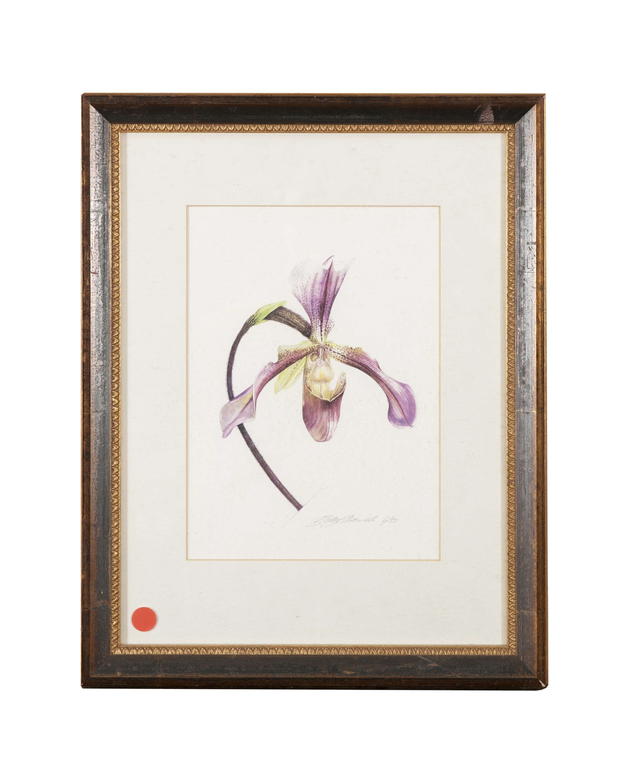 Billy Showell Botanical Studies MutualArt