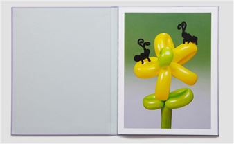 The Best Photography Books to Adorn Your Coffee Table