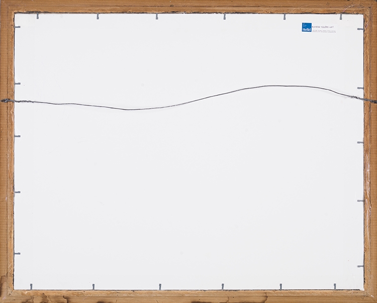 Artwork by Kenojuak Ashevak, Birds from the Sea, Made of sealskin stencil on paper