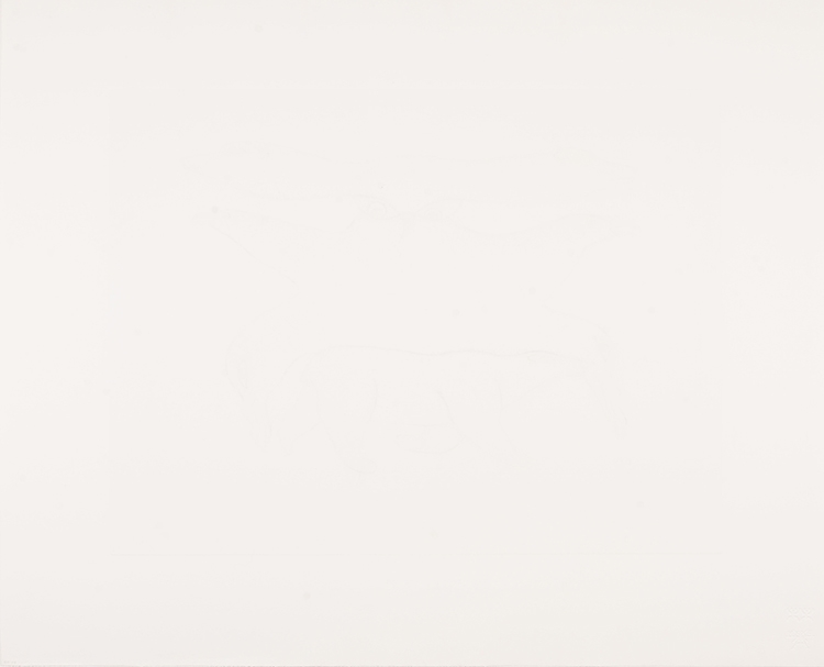 Artwork by Kenojuak Ashevak, Owl Evolving, Made of etching and aquatint on paper