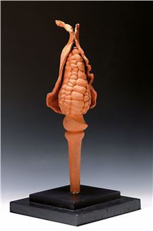 sculpture from clay - Titus Reinartz