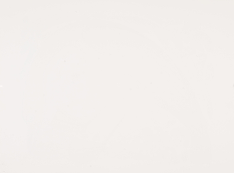 Artwork by Kenojuak Ashevak, Bird Among the Cairnes, Made of lithograph on paper