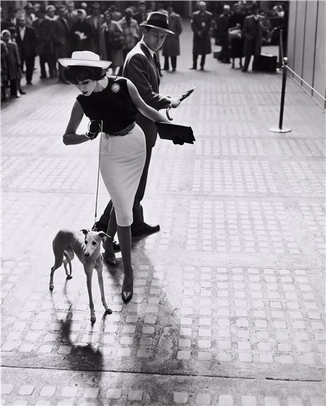 Simone d'Aillencourt with Whippet. by William Helburn, 1956