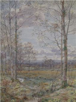 A Woodland View - Tom Hunn