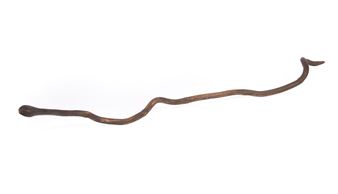 Snake - Randy Sewell