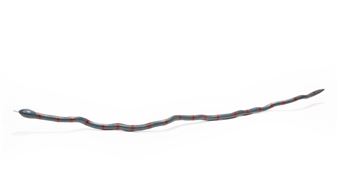 Snake - Randy Sewell