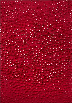 Untitled - Angela Valella