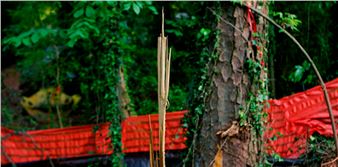 Constance Thalken: Exit Wounds - Whitespace