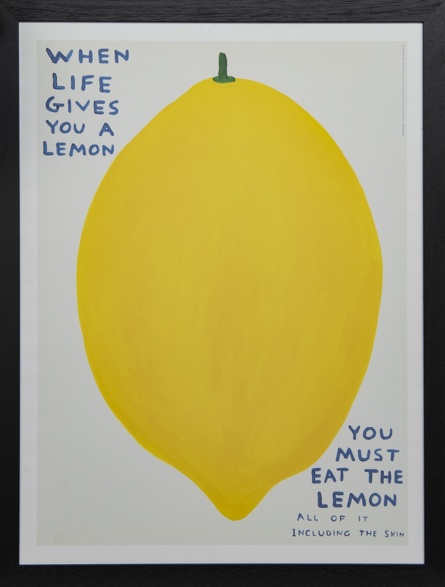 David Shrigley WHEN LIFE GIVES YOU A LEMON MutualArt