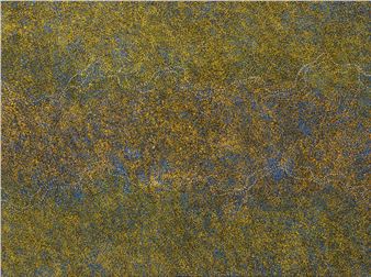 Patterns of the Desert - Annie Nelson