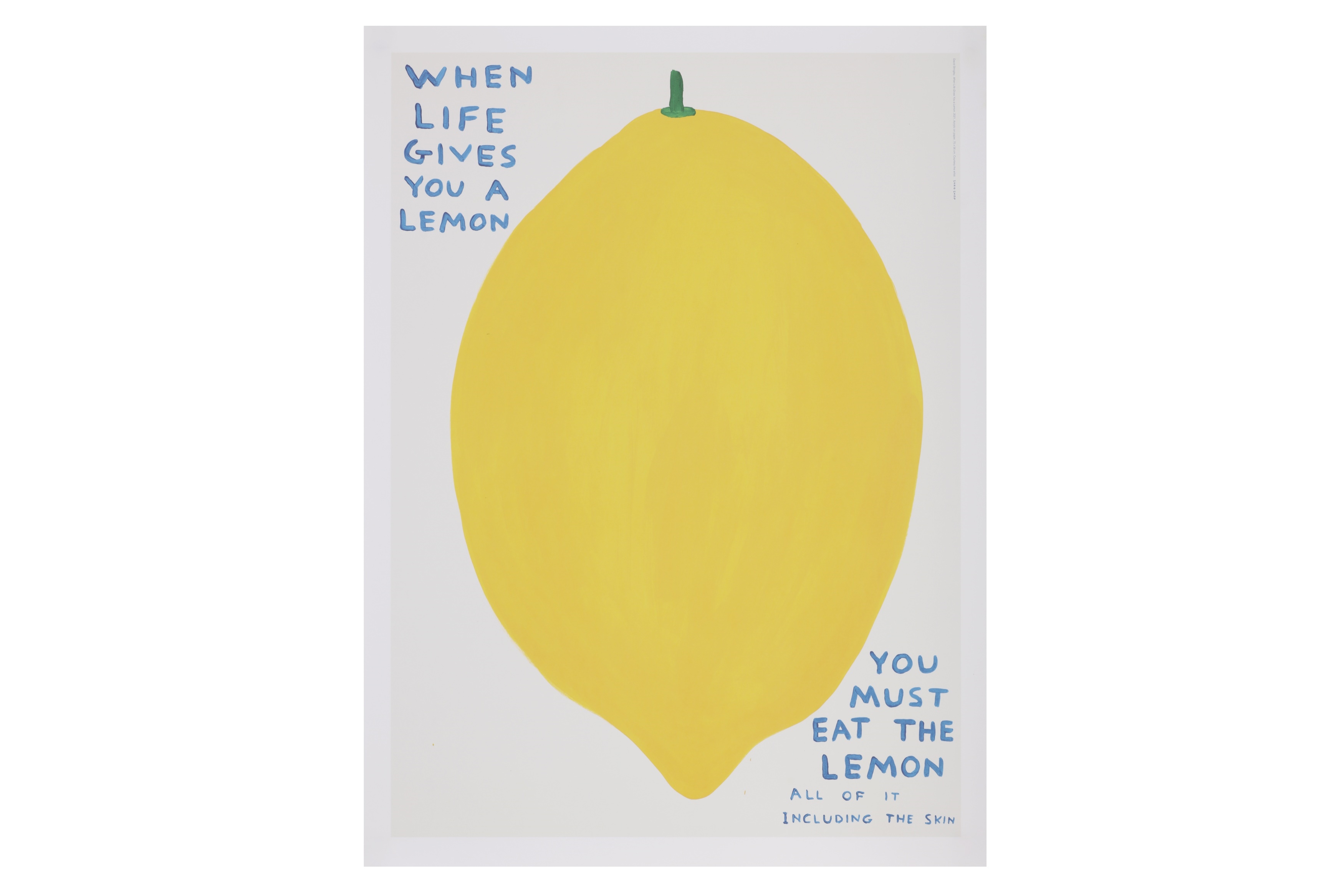 David Shrigley When life gives you a lemon; You win this mushroom