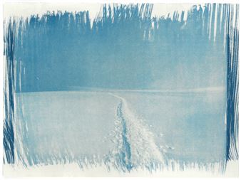 Denali In The Midnight Sun - MA2 Gallery