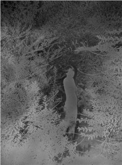 Just Visiting This Planet - Miyako Yoshinaga 