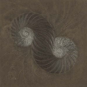 Twist - Takeshi Kinoshita