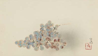 Grape by Seison Maeda