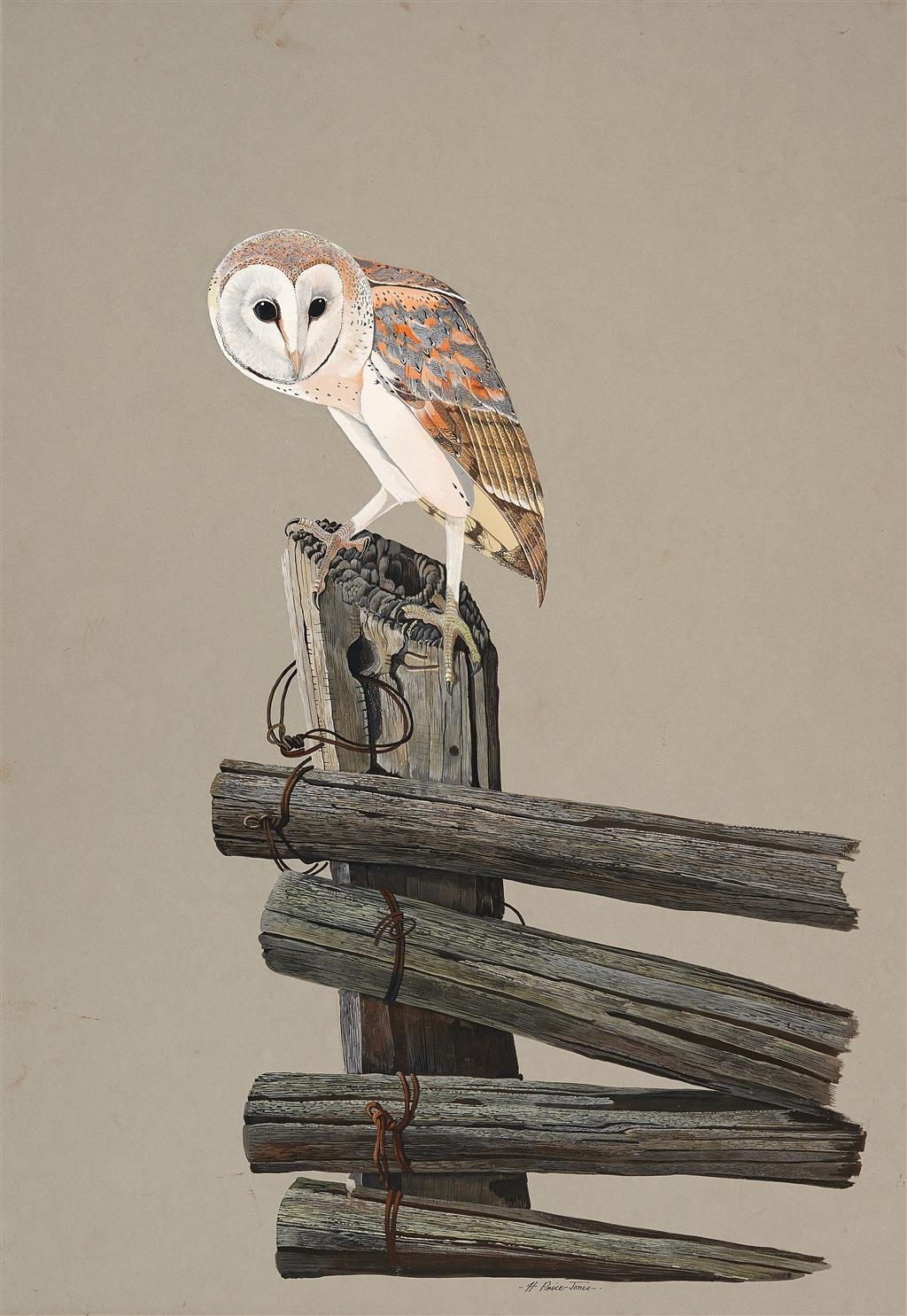 Humphrey PriceJones Barn Owl MutualArt