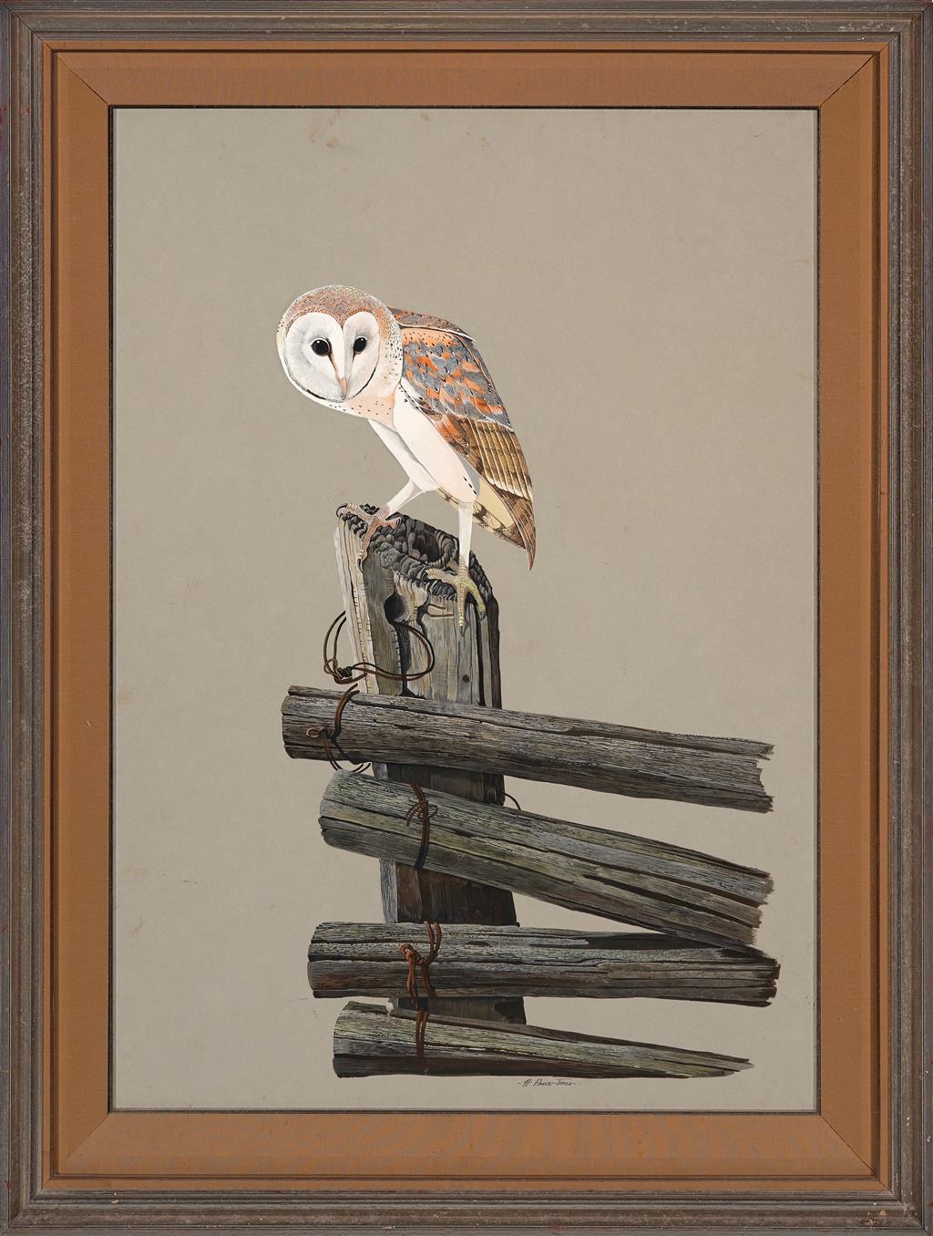 Humphrey PriceJones Barn Owl MutualArt