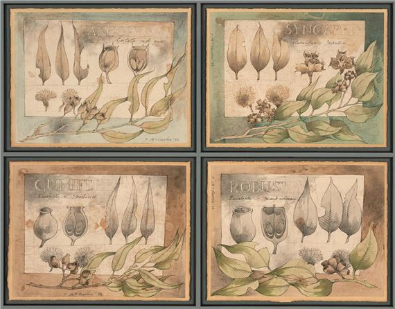 Floral Studies - Donald McConchie