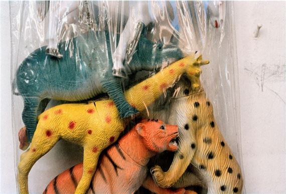 From the series "Selvatico" by Alessandra Spranzi, 2008