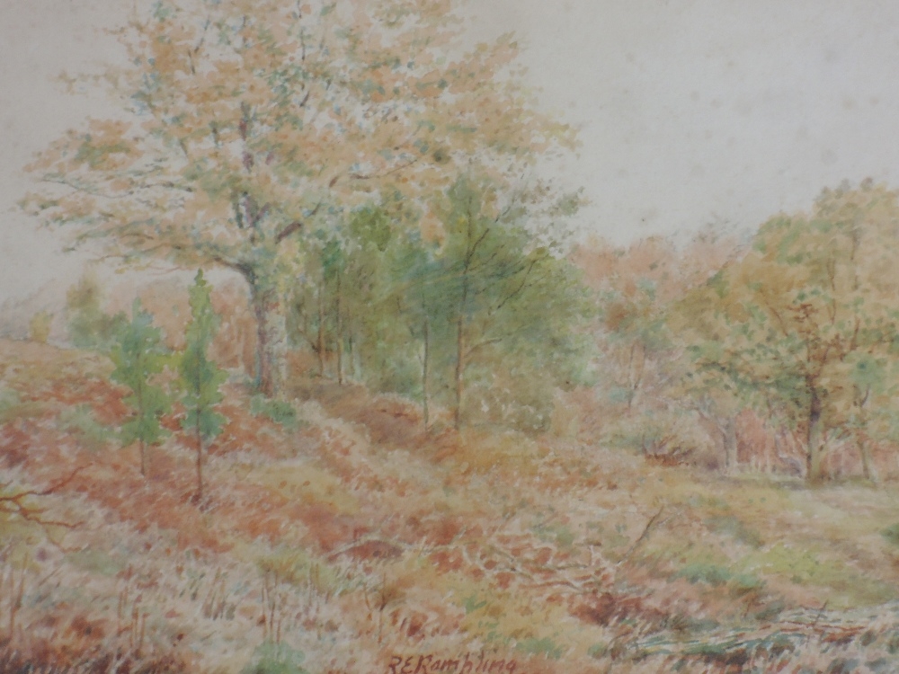 Robert E. Rampling | woodland landscape | MutualArt