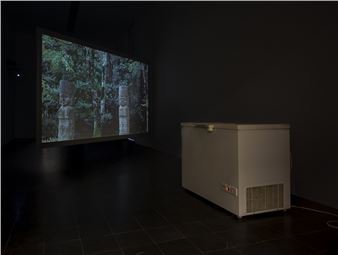 Cantonale Berne Jura 2022 - Kunsthaus Biel