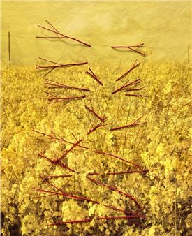 Land Revisited - Klompching Gallery