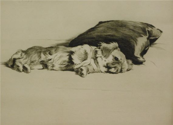 Susan the Pekingese by Cecil Aldin