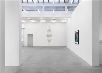 Lothar Baumgarten - Galleria Franco Noero