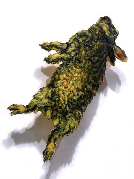 Zoonotic Hex - Field Projects