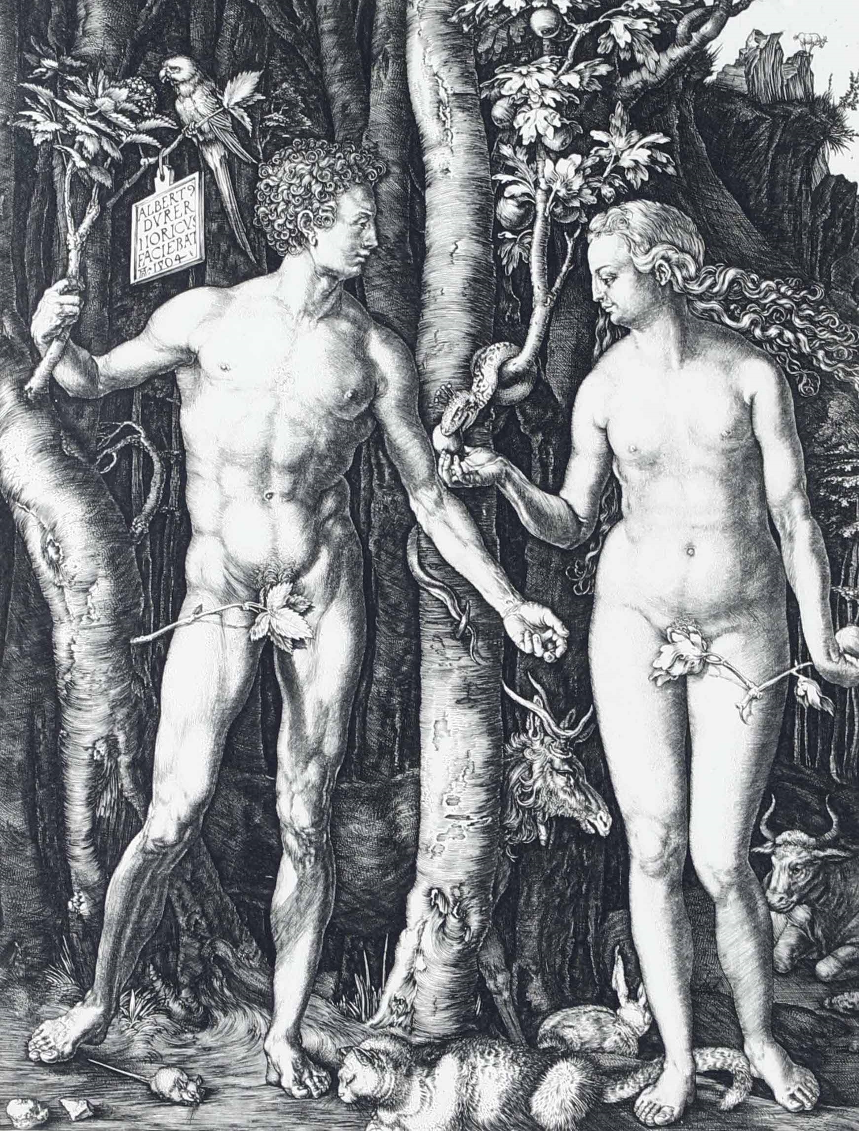 Artwork by Albrecht Dürer, Peccato originale d'Adamo ed Eva, Made of Engraving.