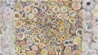 The Presence of Nature - Schneider Museum of Art