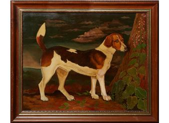 The Beagle - Myra Gaudin