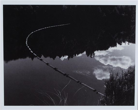 Log Boom, Lake Rotorangi (Patea) by Wayne Barrar, 1993