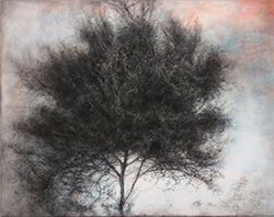 Bold Little Beauty - Carrie Haddad Gallery