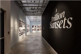 ‘A Trillion Sunsets: A Century of Image Overload’ Review: Pictures Aplenty