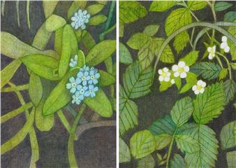 DO ZIELNIKA - Maria Prokop