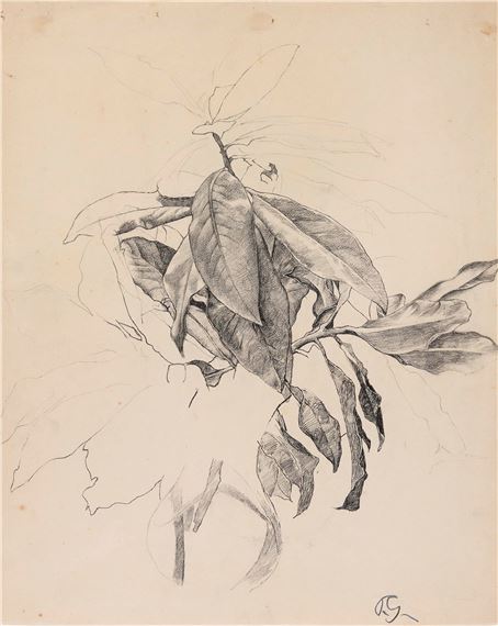 RAMOSCELLO DI ALLORO by Paolo Ghiglia