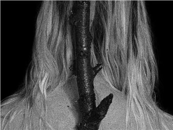 Landscapes of Belonging - KINDL –  Centre for Contemporary Art