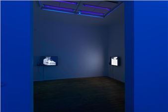 ‘Violet but More Radical’ by Vika Kirchenbauer at Kunstverein Kevin Space