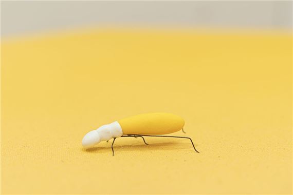 Dwellers - Perrotin, New York