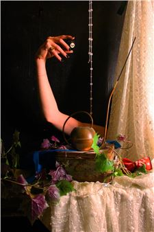 Creekshow - Art in Perpetuity Trust Gallery