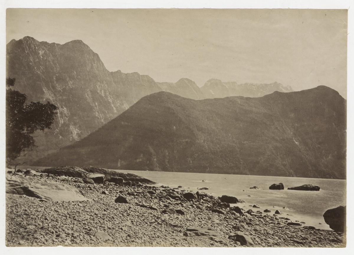 Burton Brothers Milford Sound MutualArt